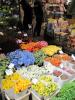 Květinový trh v Amsterodamu